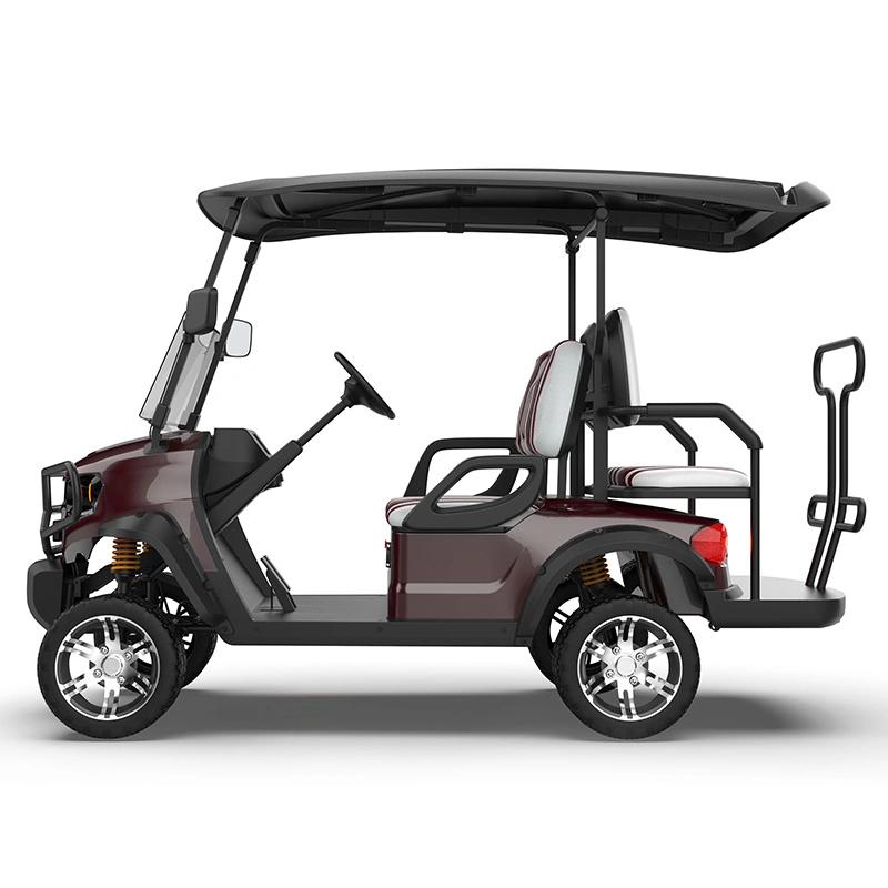 ISO Approved 3-4 Kinghike Packed and Loaded by Container Golf Cart Upgrades Vehicle