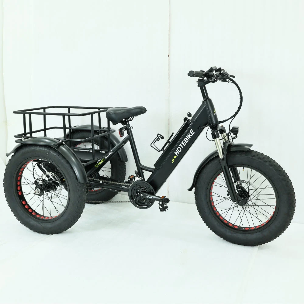 Электрический груза Trike 500Вт мотор 750 Вт 48V 24AH электрического заряда аккумулятора на инвалидных колясках коммерческие поставки