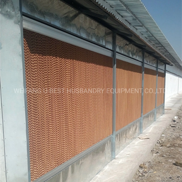 Hot Sell Chicken House Design Broiler Farm Equipment in Philippines