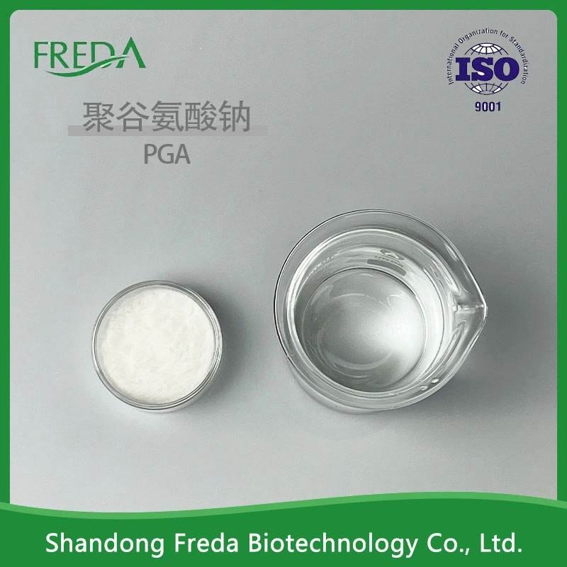 China fábrica de ácido de sodio Polyglutamate Polyglutamic Gamma CAS 28829-38-1 El Ácido Hialurónico