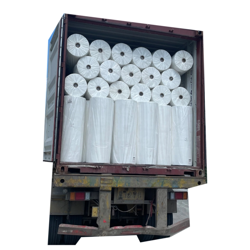 Packing Use Nonwoven Fabric 25GSM 60 Days PP Spunbond