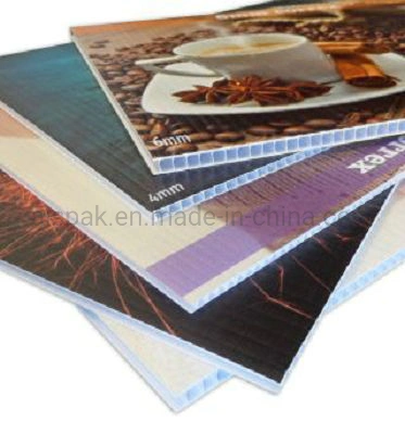 4X8 PP Hollow Sheet for Printing Protection Packing