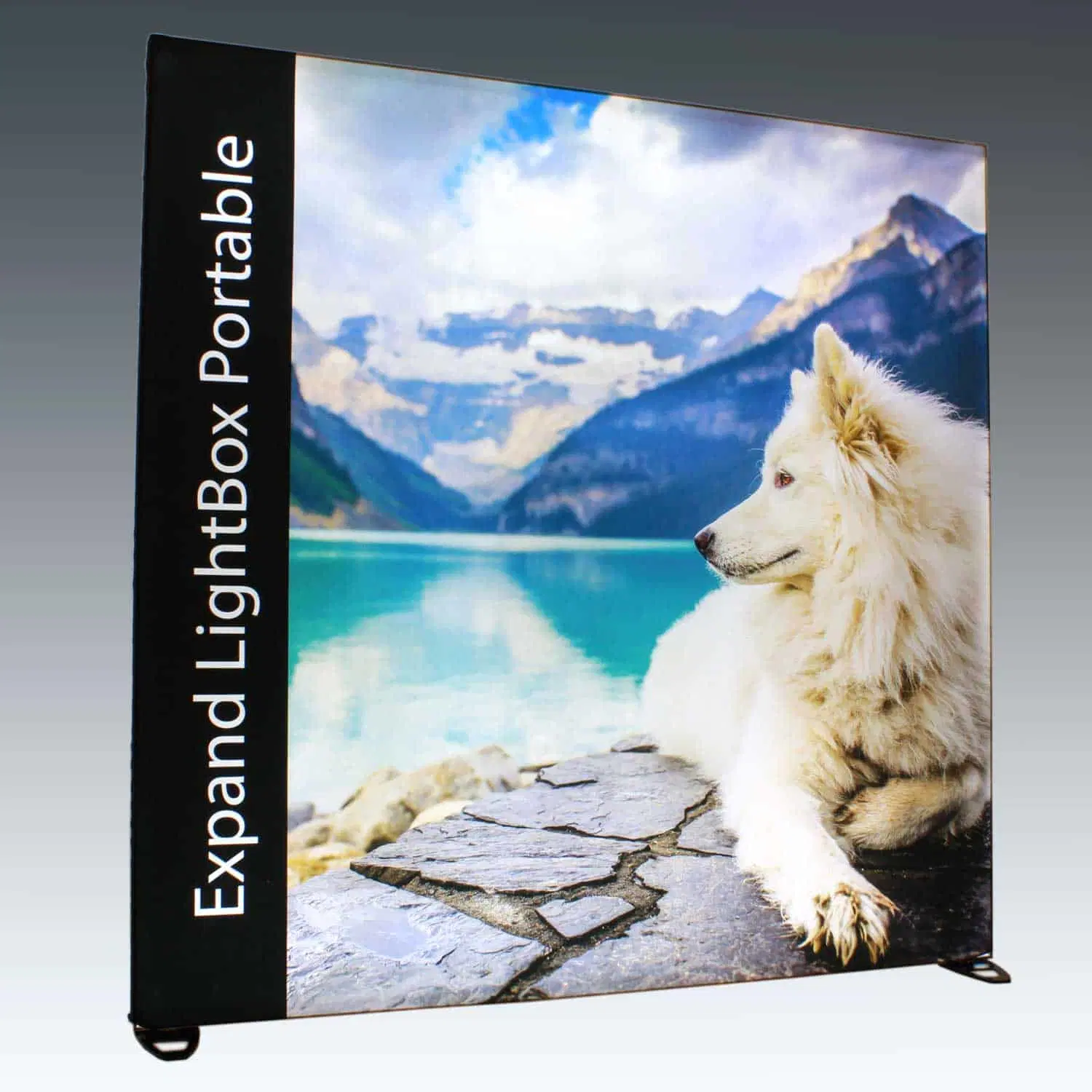 Outdoor Public Street Advertising Sided Scrolling Static Light Box