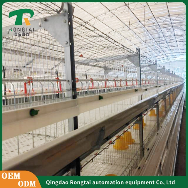 Südafrika heißer Verkauf Layer Broiler Chicken Cage Coop für Chicken Farm