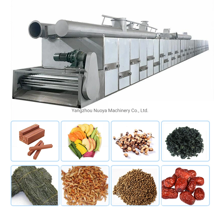 Dw Food High Efficiency Mesh Belt Drying Machine Oven