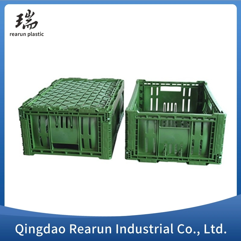 Heavy Duty Mobile Ventilated Mesh Tomato Mushroom Foldable Foldable Plastic Fruit Vegetable Box for Sale