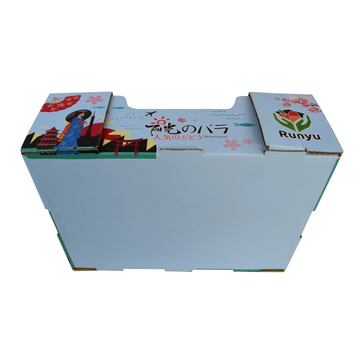 L'emballage du papier coloré de raisin boîte rectangulaire personnalisée en usine du carton ondulé boîte Afficher boîte d'emballage de fruits