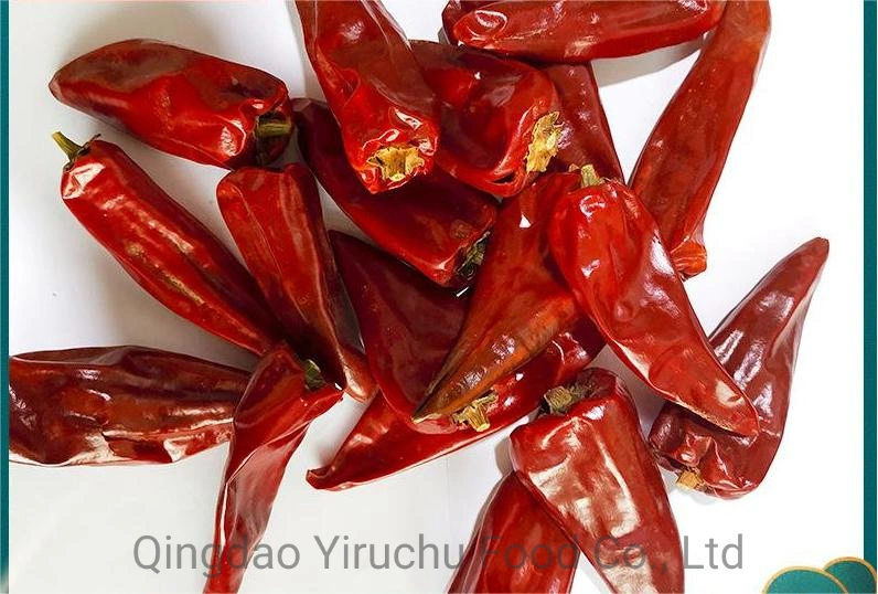 Small Red Chilli Dry Red Chilli Wholesale/Supplier Price