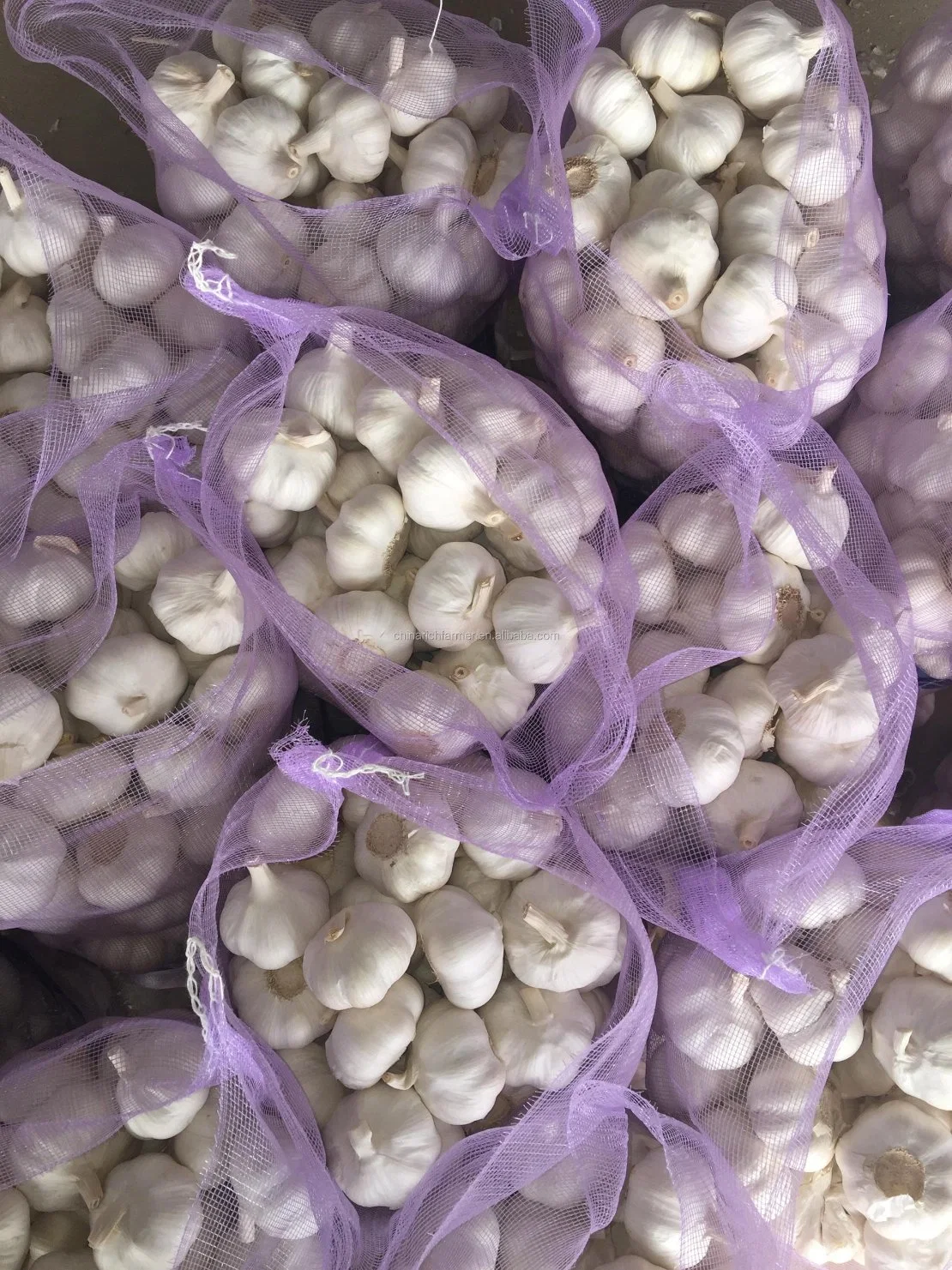 China Sinofarm Fresh Ail Frais Normal/G1 de color blanco puro 10kg de semilla de ajo rojo Freshchinese bajo precio de exportación con el espacio