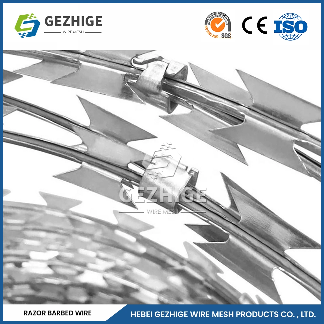 Gezhige Residential Barbed Wire Wholesale/Supplierr 60mm Needle Spacing Cross Type Razor Wire China 5mm Diameter Steel Razor Wire