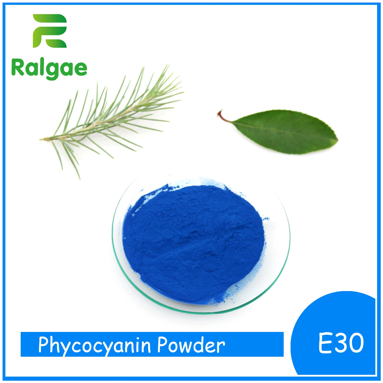 E30 Pure Spirulina الاستخراج Blue Pigment Phycocyanin CAS 11016-15-2