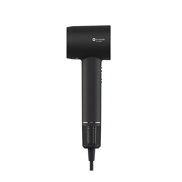 Prix bon marché Hôtel Electric Professional Blow Black sèche-cheveux