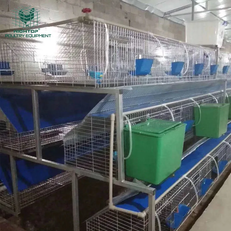 Commercial Outdoor Galvanized Wired Mesh Rabbit Breeding Cages For Philippine