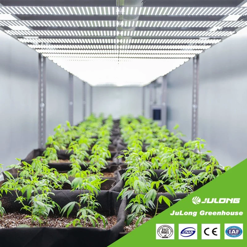 40FT Medical Planting Shipping Herbs Grow Room Container Farm