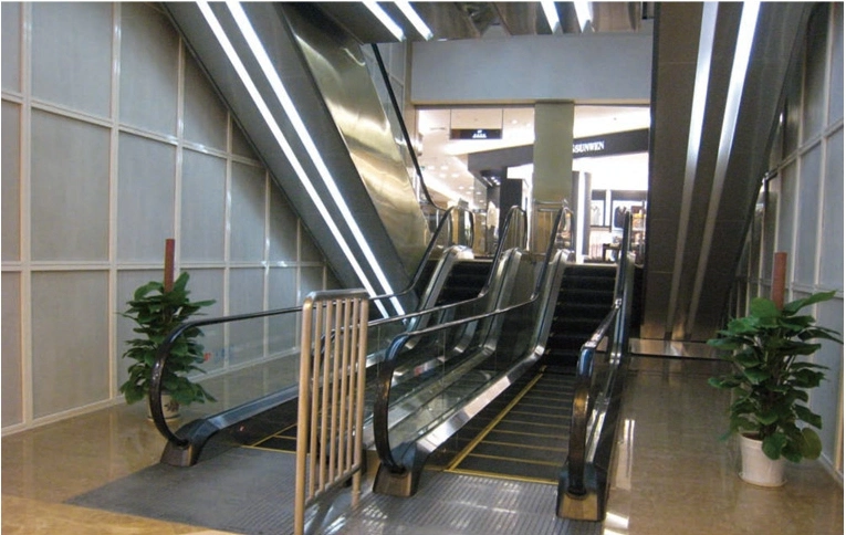 Elevator Lift Machines Cost Hydraulic Outdoor Escalators with 3c