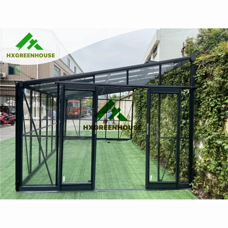 Hot New Product Greenhouses Used in Garden Greenhouse Hx97