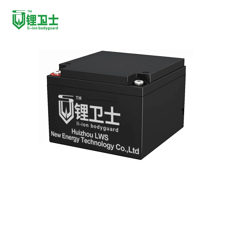 [Grundlegende Anpassung]LWS Solar Storage Battery Packs 12V 24Ah