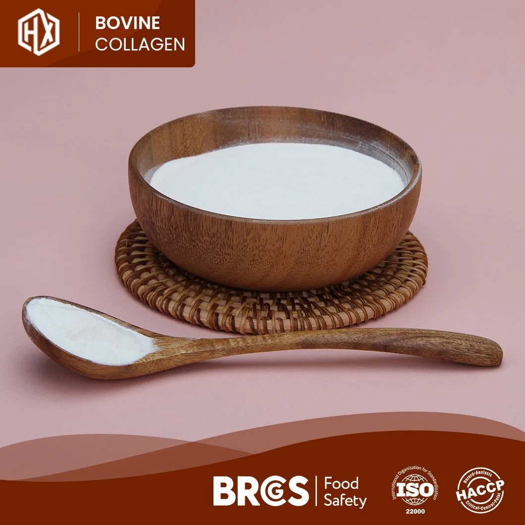 Haoxiang Wholesale/Supplier Trade Bovine Hides Collagen Ingredients High-Quality Bovine Hide Collagen Peptides China Supplier Free Sample Flavoured Collagen Powder