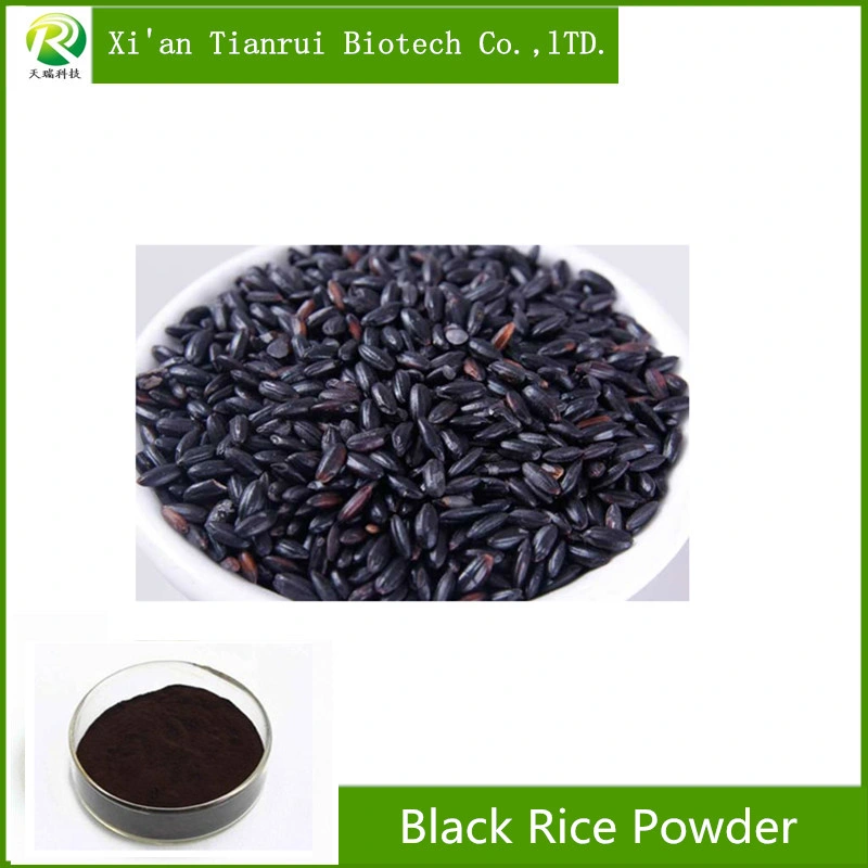 Factory 100% Organic Black Rice Powder Anthocyanin 25%