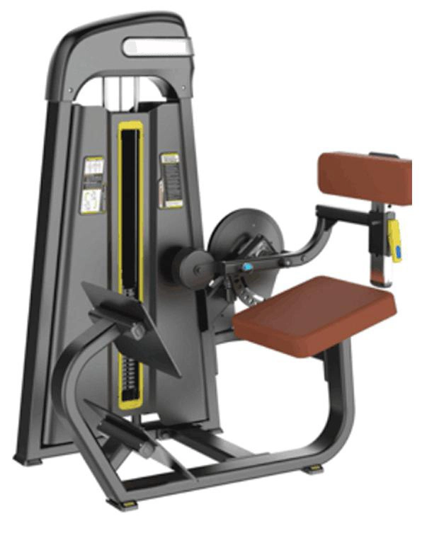 Best Price Hot Selling Products Low Row Indoor Gym Equipment