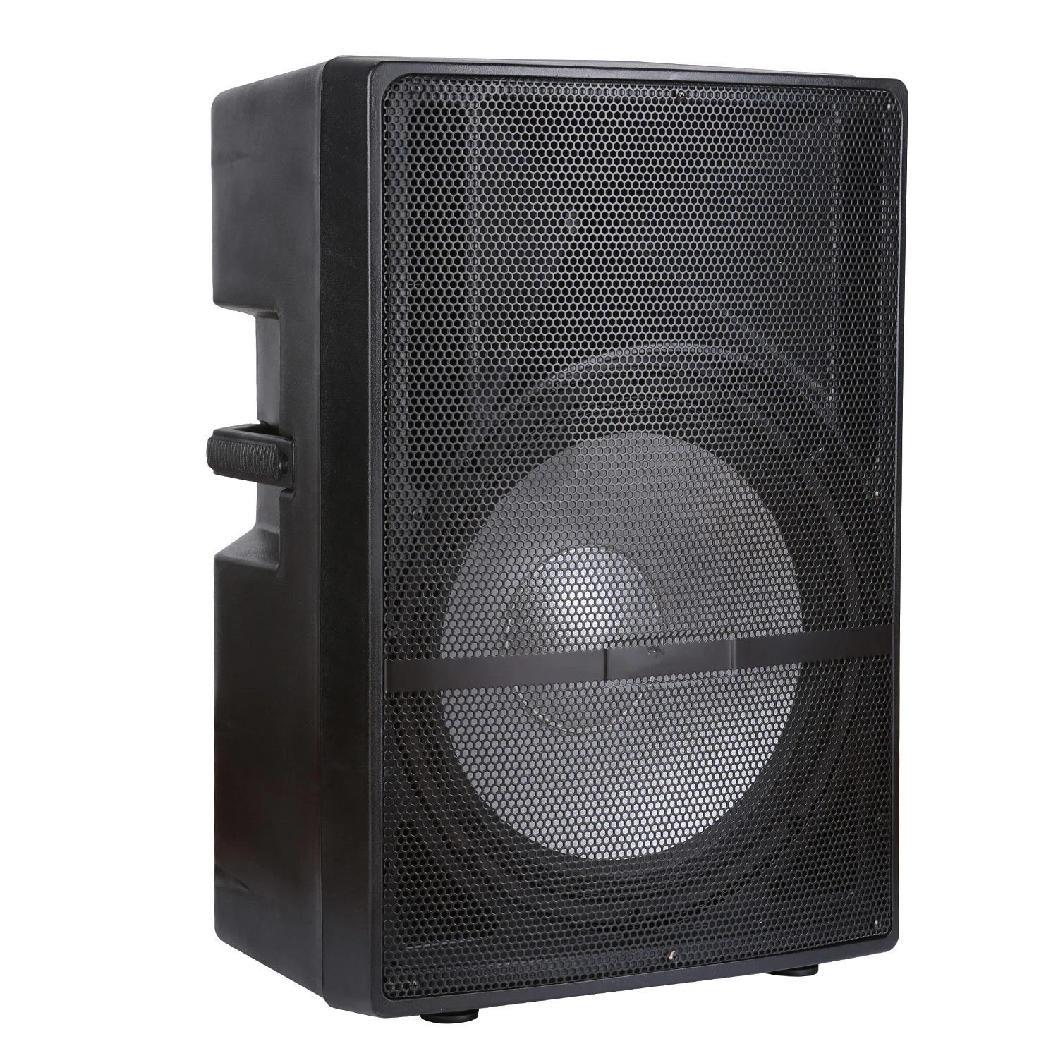 Tws 18" 300W Powered Subwoofer Speaker+Digital DSP+ Wired Mic