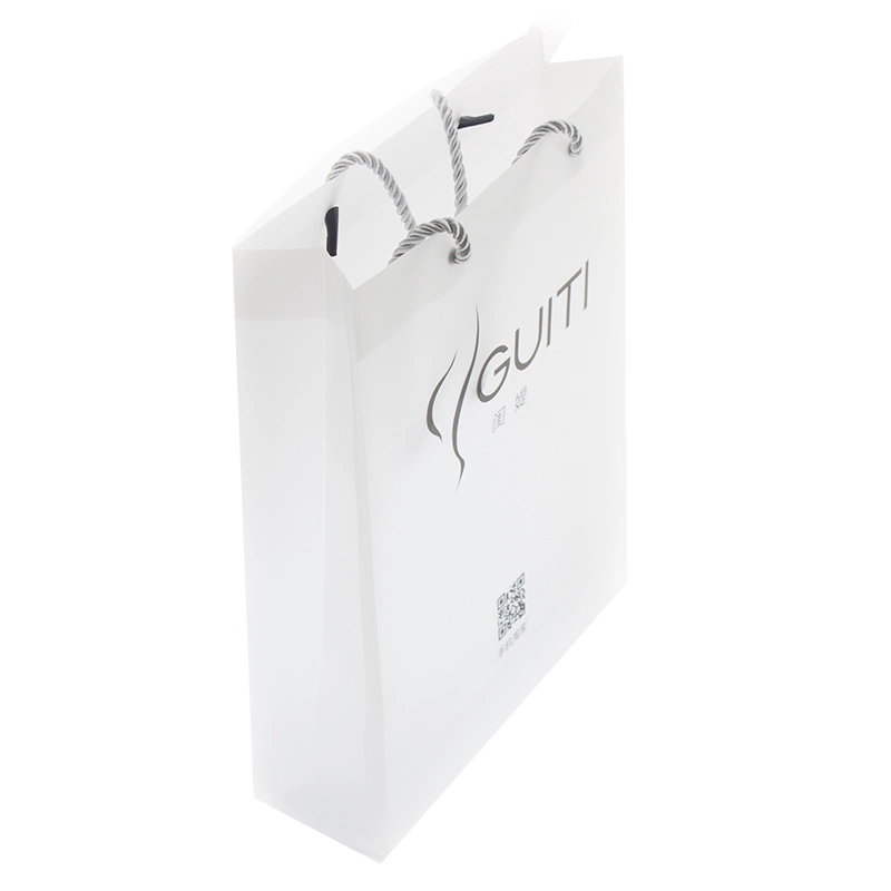 customize PP printed shopping gift promotion bag with string