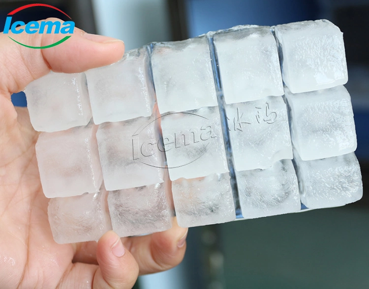 500kg barata utiliza máquinas de hielo de cubo haciendo Maker con fines comerciales.