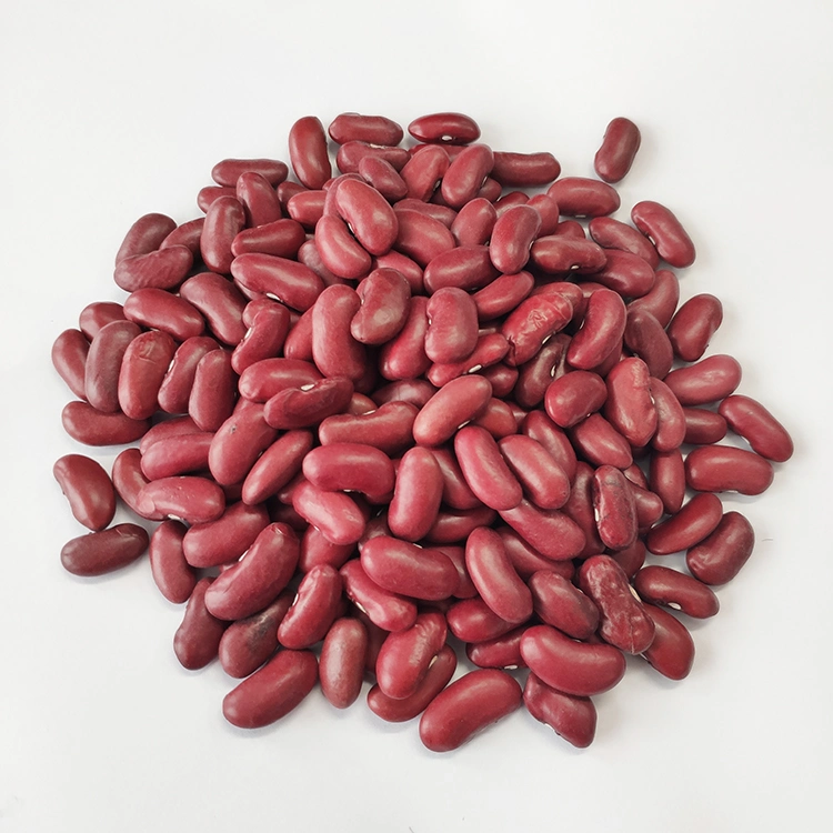 Wholesale/Supplier Dark Red Kidney Beans with Export Red Kidney Beans