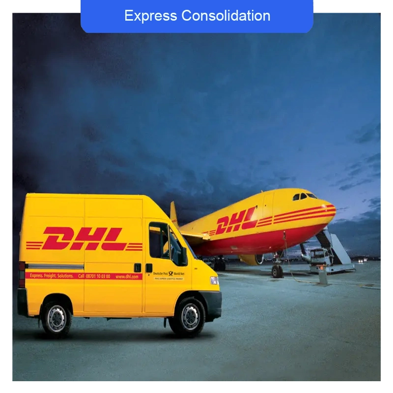 Envíos de carga superiores efectivos a México/EE.UU. Entrega por UPS DHL FedEx