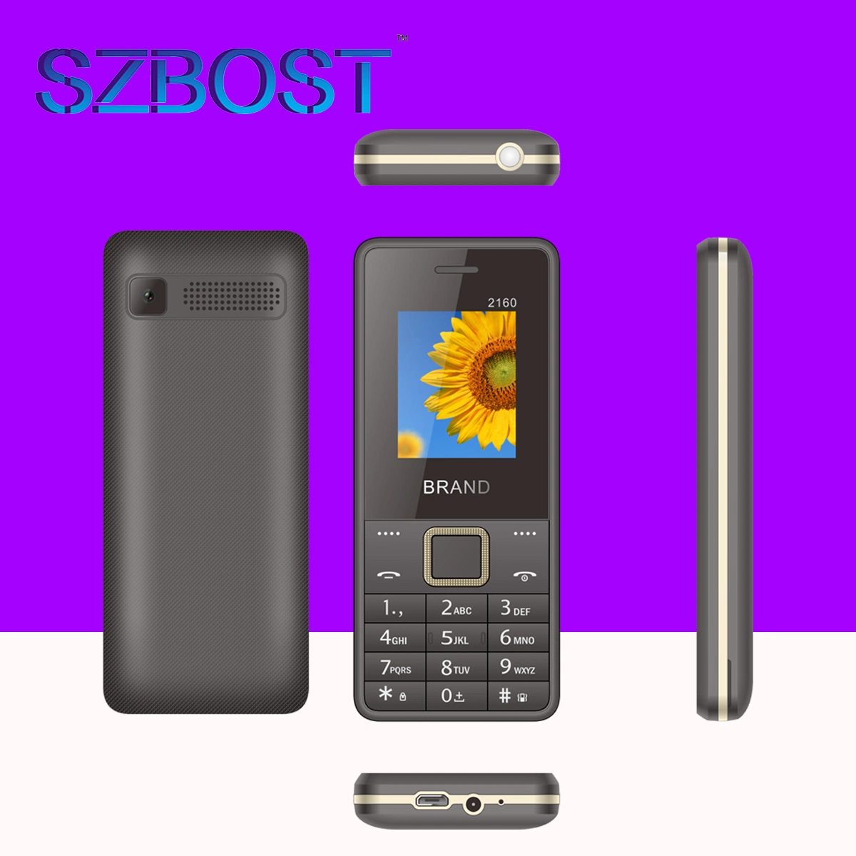 Großhandel/Lieferant 1,77inch 2,8 Zoll große Taste Sos Handys Niedrig Preis Senioren Handy Senior Handy Feature Phone 2160