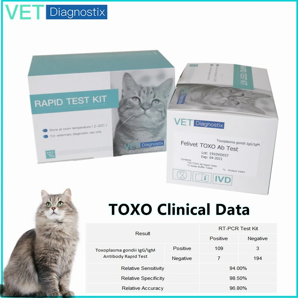 Toxo Rapid Test Kit Toxoplasma Ab Igm/Igg Test Strip Toxoplasma Test Kit