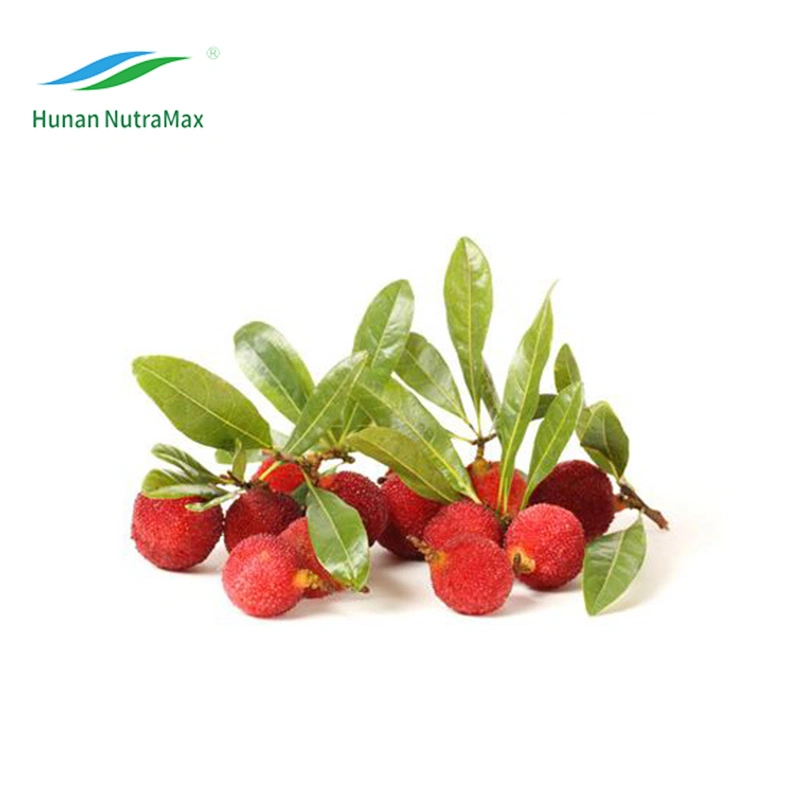 Pure Waxberry Fruit Powder (Good Water Soluble)