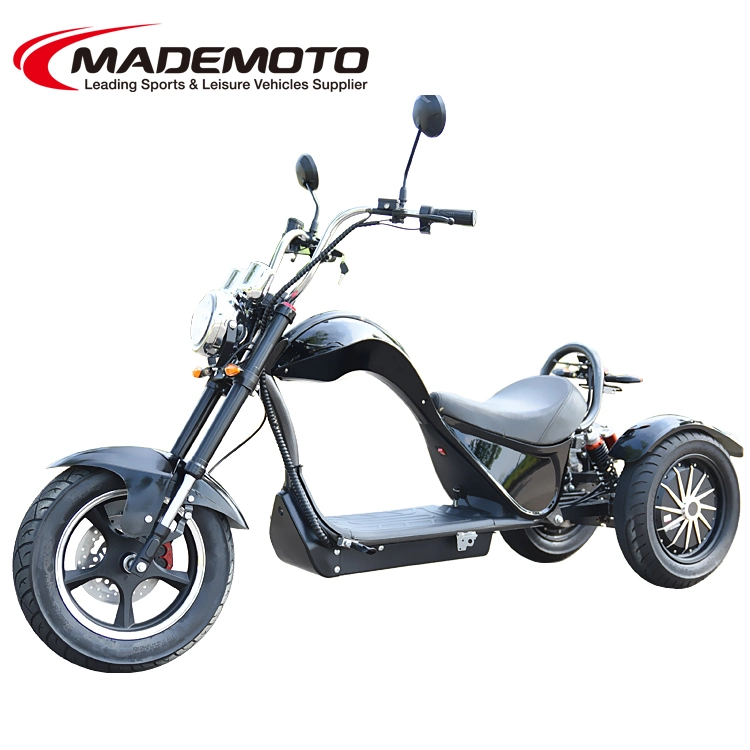 3 Wheel EEC EU Trike 4000W 5000W 10000W Scoter Electric Motorcycle Full Size for Adult Coc Scooters