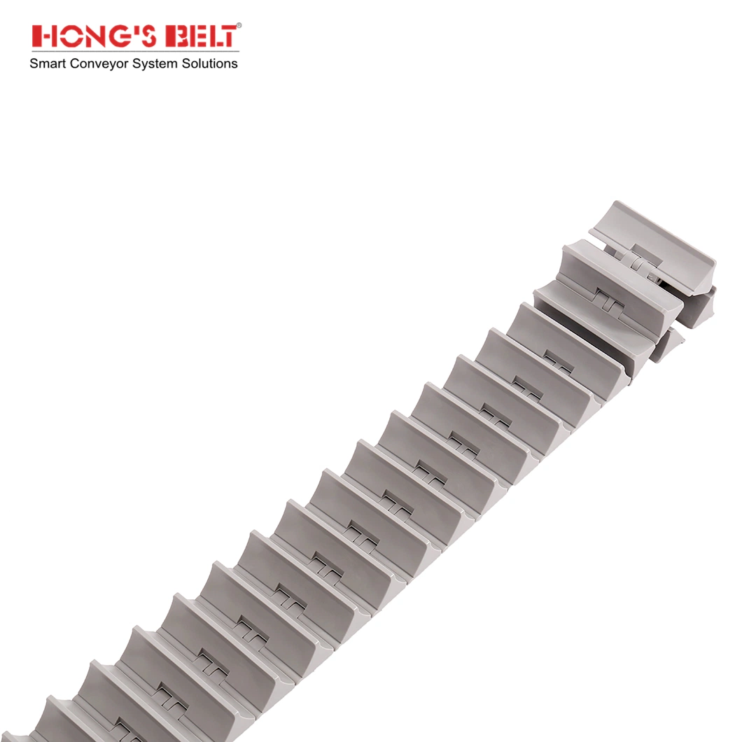 Hongsbelt HS-820-K400-26mm Cleat Slat Top Chain with Actal Material Table Top Chain for Fish Industry