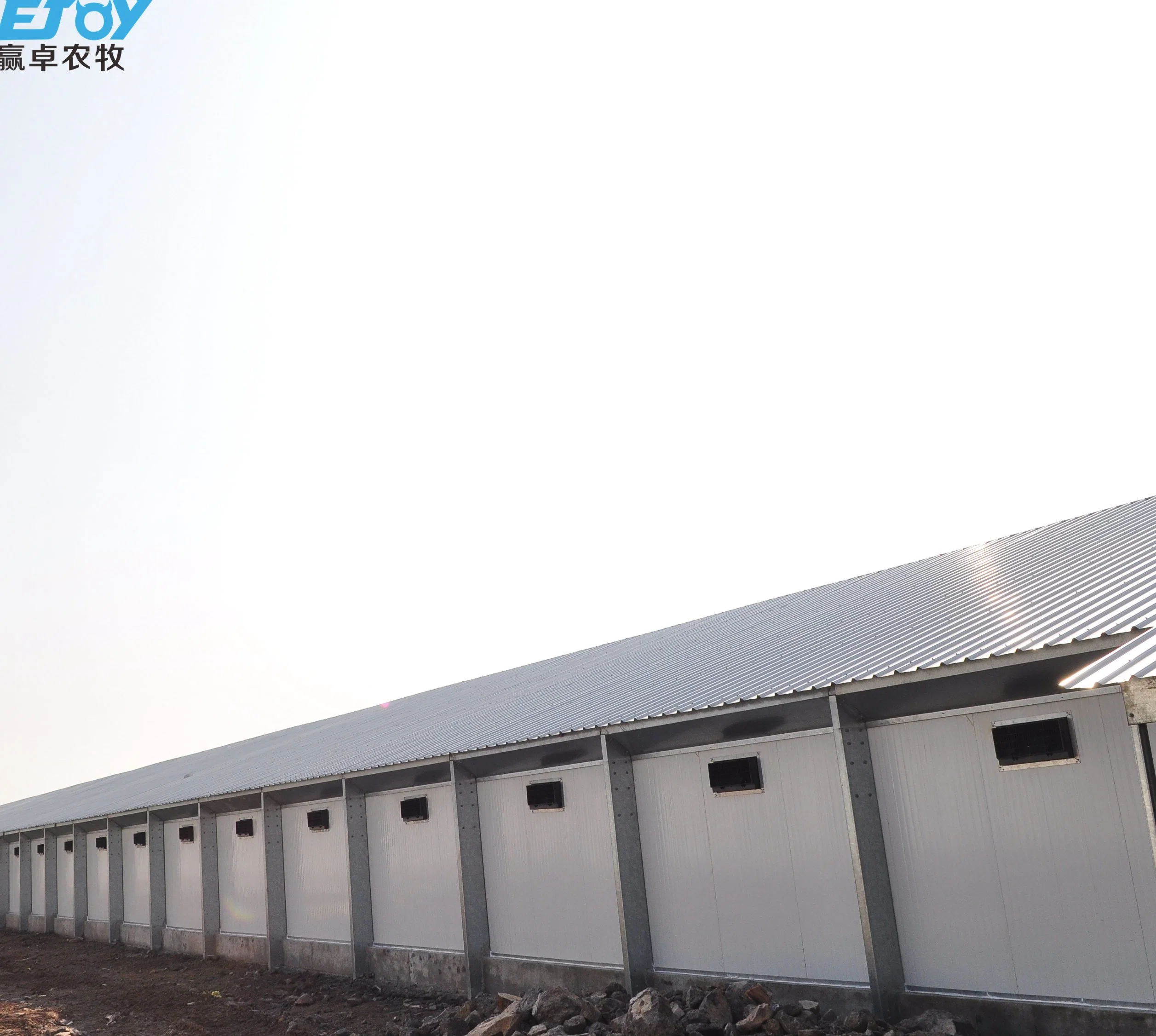 Steel Structure Poultry Farm House Construction with Full Set Poultry Farm Equipment