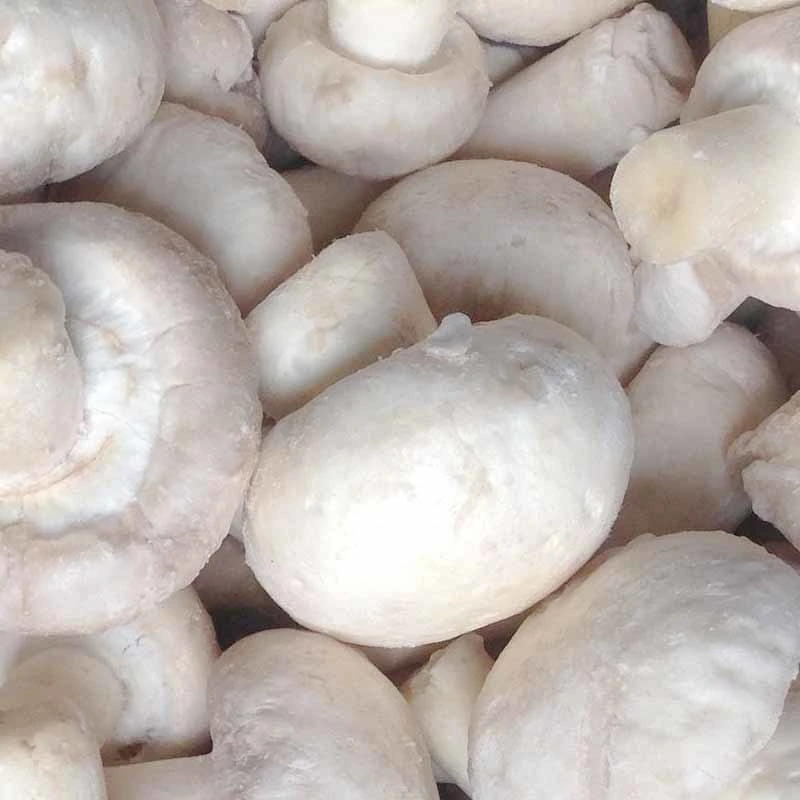 Frozen Food IQF Fresh Whole Button Mushroom in White Color