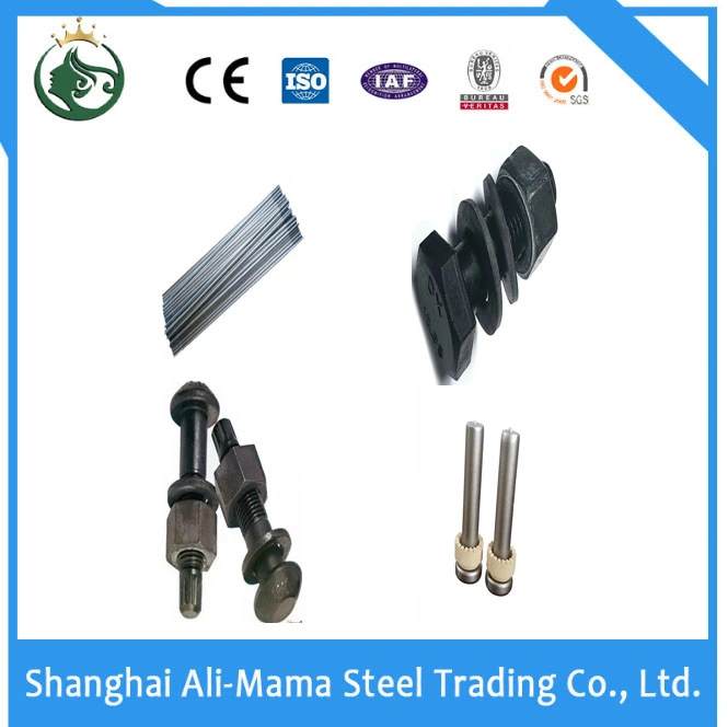 High Strength Bolt Stainless Steel Nut Grade 4.8/8.8/10.9/12.9