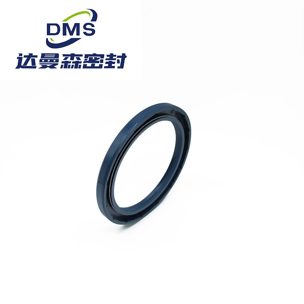 Mechanical Pressure Resistant NBR Tcv Motor Skeleton Oil Seals