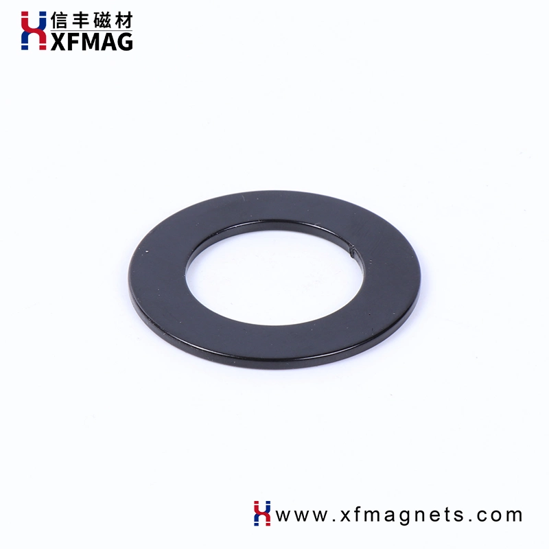 Neodymium Permanent Ring Four Magnetized Customized Epoxy Coated Strong NdFeB Magnet