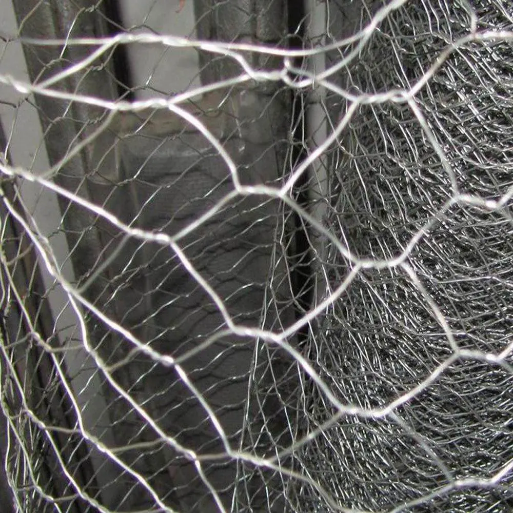 PVC /Stainless Steel/Galvanized Hexagonal Wire Mesh for Poultry Fence Mesh