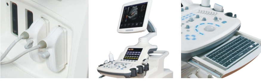 4D Trolley 2 Monitors Color Doppler B Ultrasound Machine