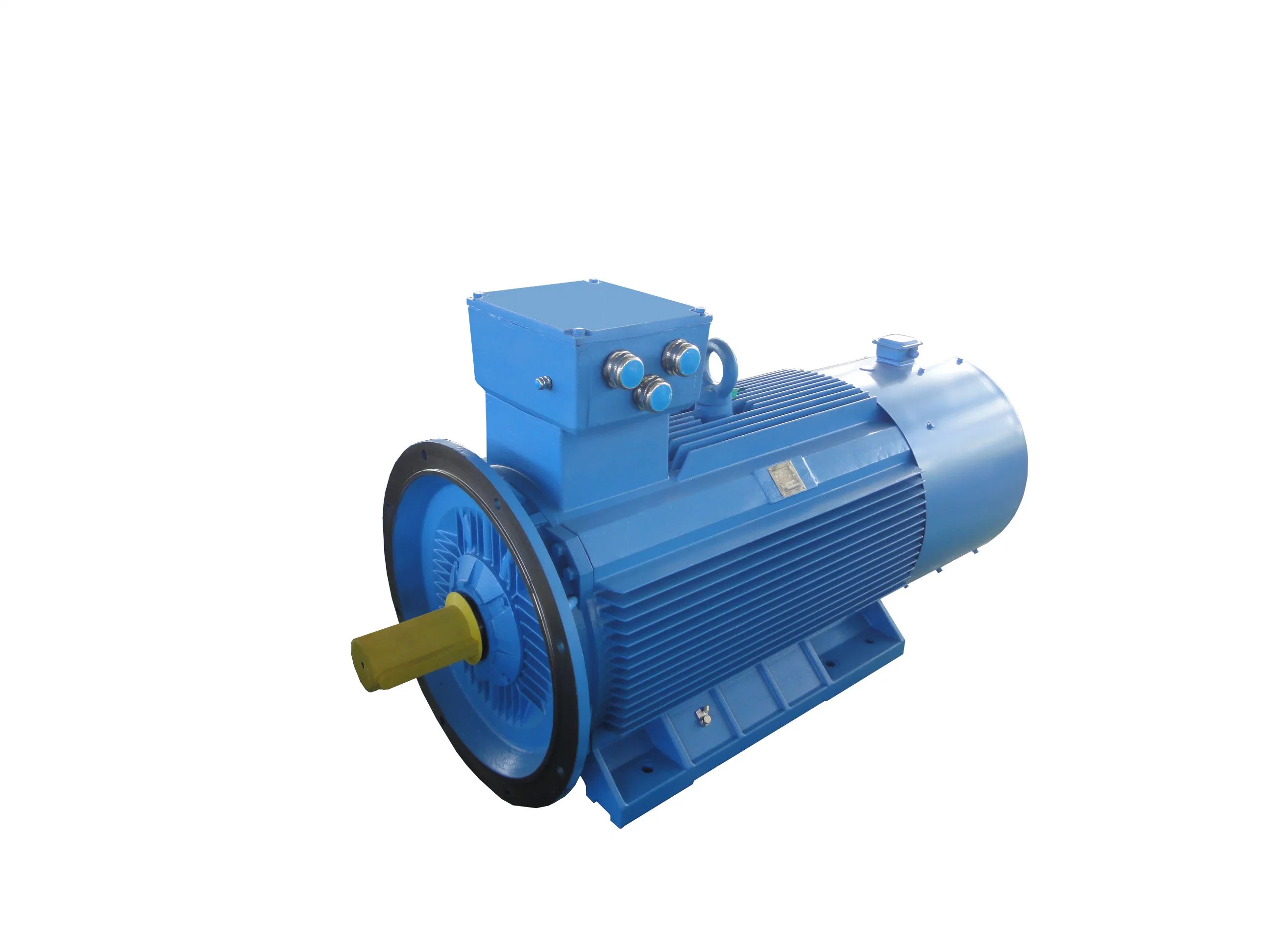 Explosion-Proof Frequency Conversion Speed Control 3-Phase AC Motor Ybbp-132, 50Hz