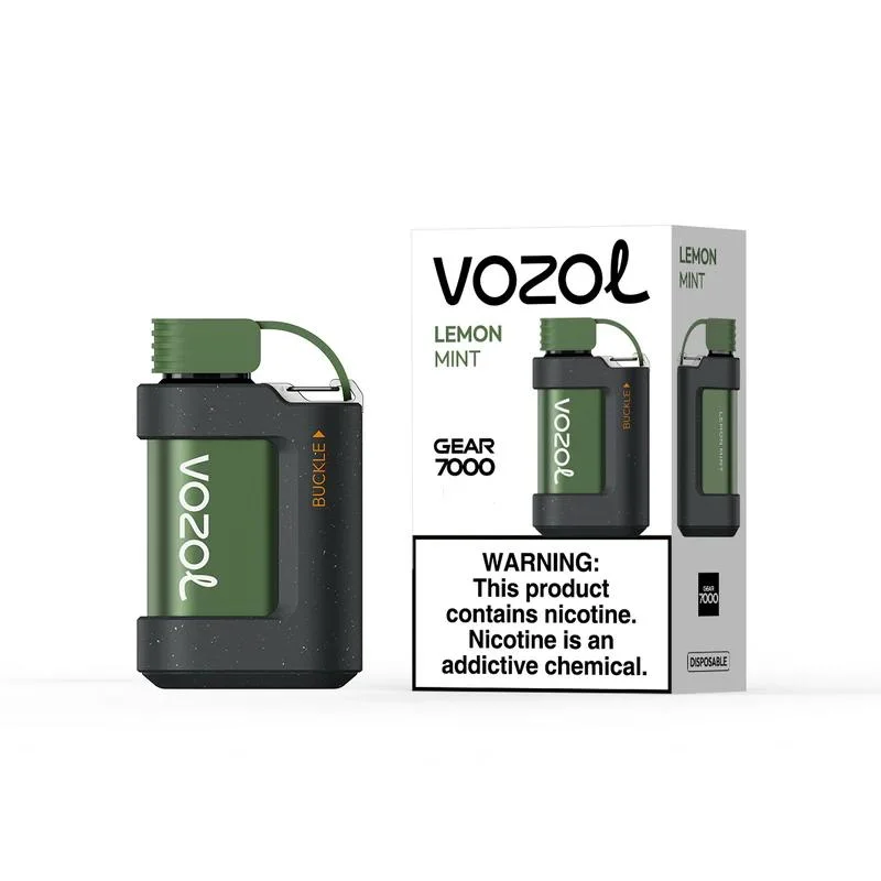 2023 derniers produits Vozol Gear 5000 7000 10000 Puffs I VAPE