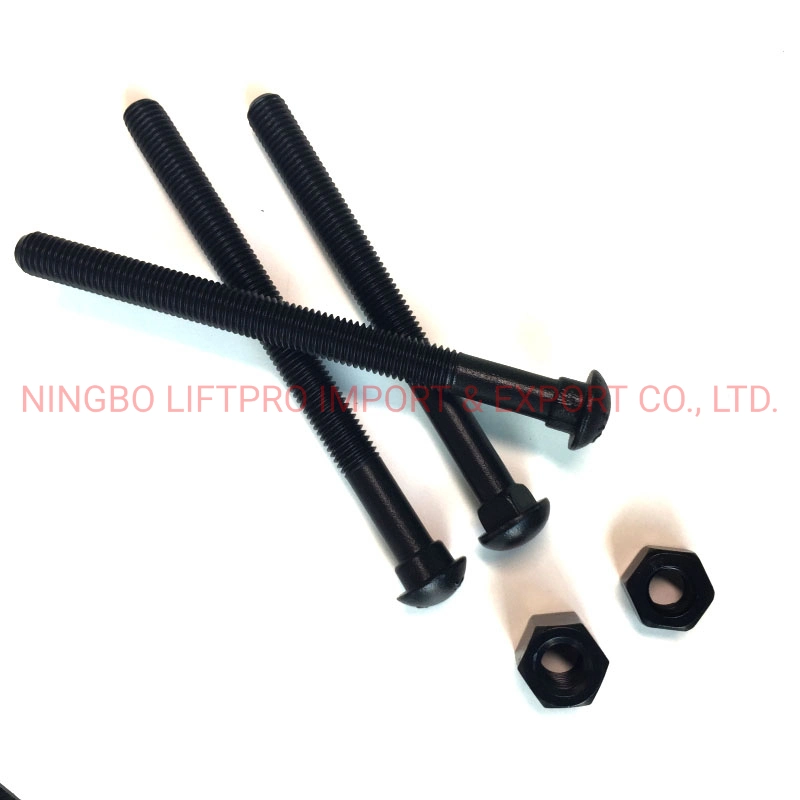 China Track Bolt and Nut Rail Way Black & SS304 SS316 Bolt