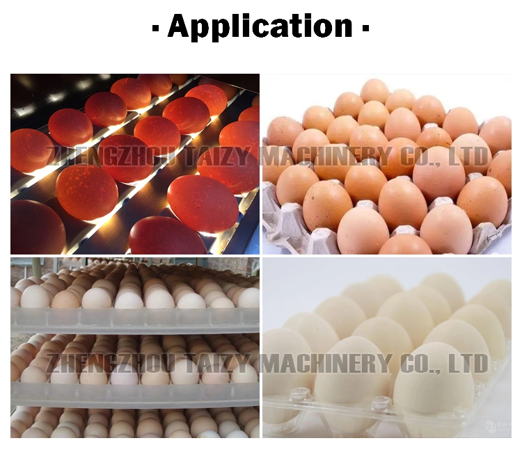 Egg Grading Machine Electric Egg Sorting Machine Egg Weight Grader for Chicken Eggs