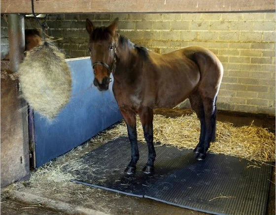 Cómodo antideslizamiento vaca alfombrilla de goma suave estable esteras de goma Caballo 4X6FT suelos de caucho entrelazadas