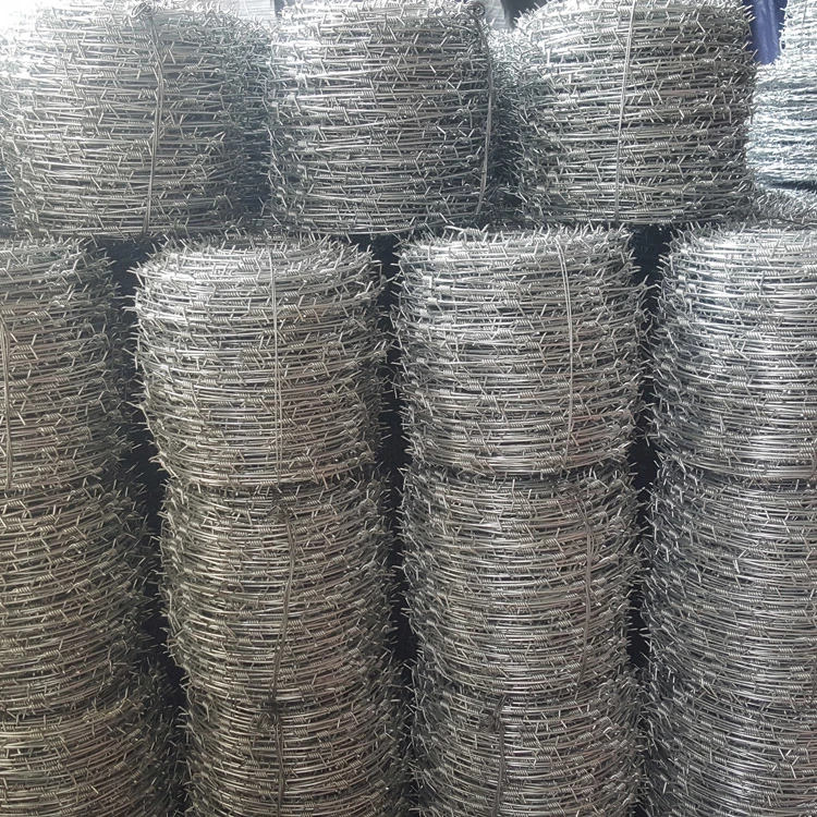 25kg Hot-Dipped Galvanized or PVC Coated Barbed Wire with Customizable Specification