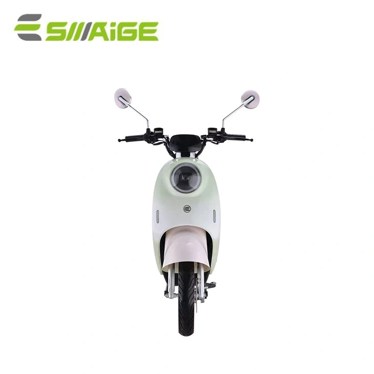 Saige 2 Wheel 800W Front and Rear Disc Brake 45km/Hr CCC CE 48V 60V Lead Acid Battery or Lithium Battery Electric Bike with NFC