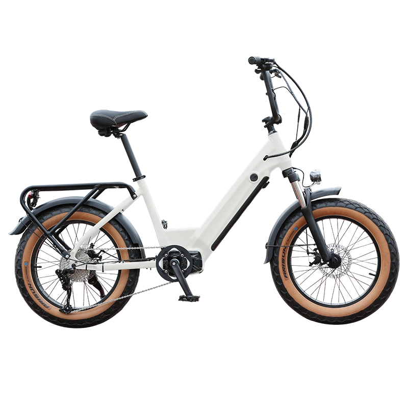 20*4.0 Lithium Battery E 20inch Bicycle Utility Ebike Electric Bike Mid Drive E-Bike