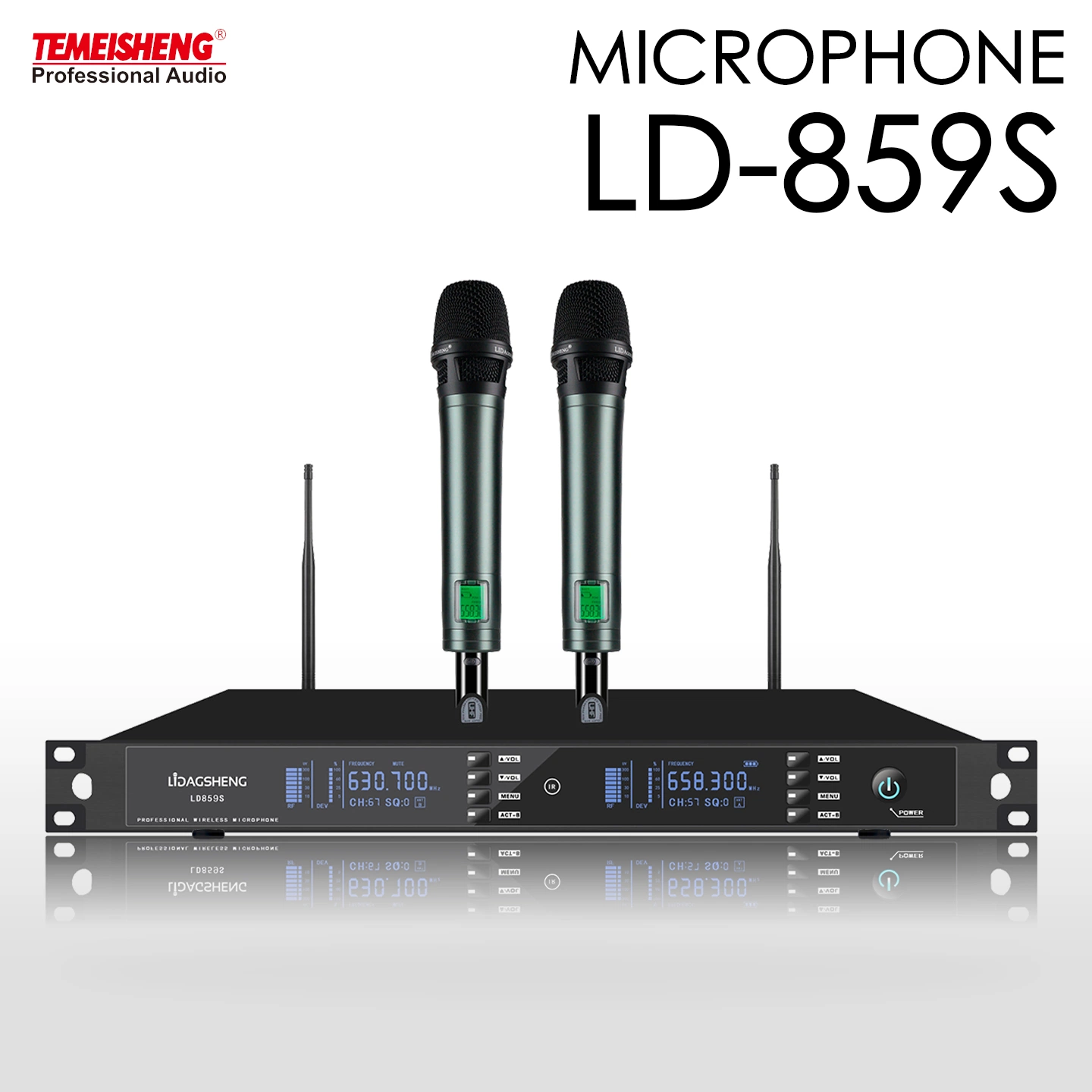 Micrófono inalámbrico portátil de frecuencia ajustable de 2 canales Temeisheng